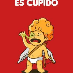 beatlesdylan's profile picture. 