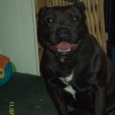 Tyler Clay - @TylerClay1313 - Twitter