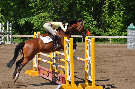 snobbyrider's profile picture. Just Another Snobby Rider