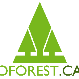 A non-profit, charity raising awareness and understanding of Ontario's forests. Follow @Forests_Ontario for our complete feed!