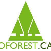 OntarioForestryAssoc (@ontforest) 's Twitter Profile