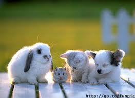 AleksanderRubac's profile picture. Jestem Kotem