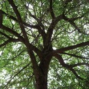 jae bevin murphy - @jaebevinmurphy - Twitter