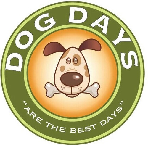 Your beloved pet can spend the day with us whilst you work or need to be away from home. We offer a home from home service full of fun!