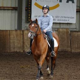 mwijk1987's profile picture. 