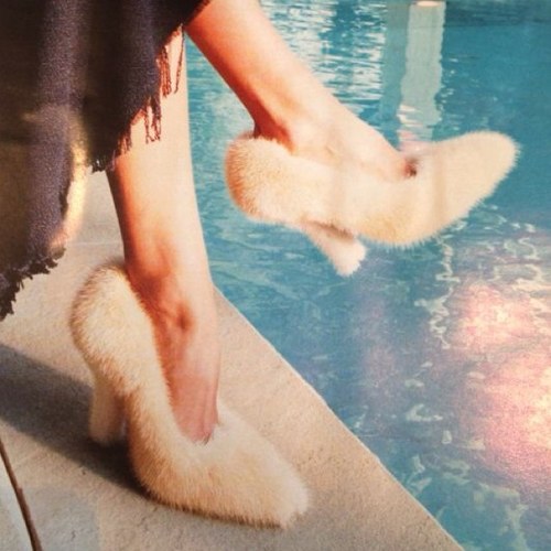 cossuttina's profile picture. 