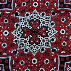 SindhuSabhita's profile picture. Sister of #JSMM activist | freedom for humanity | freedom for sindh