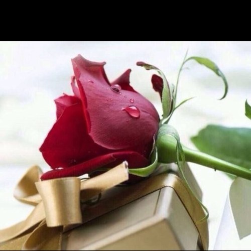 اللهم اجعل هذا الحساب صدقه جاريه لي ولوالدي ووالديهم ولاحبابي وللمسلمين والمسلمات اجمعين❤