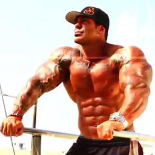 whitepitbull1's profile picture. 