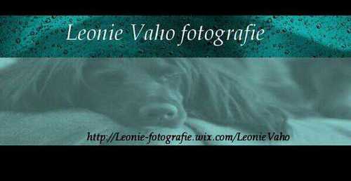 leonievaho's profile picture. 