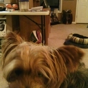 larry keene - @imnottacheater - Twitter