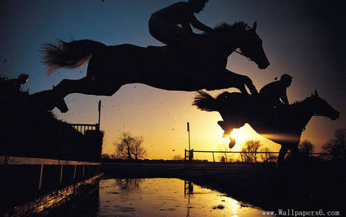 Wanting to help punters back some winners and make some money. My betting system.