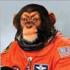 SkyChimpson's profile picture. Funky primate who dabbles in space travel.