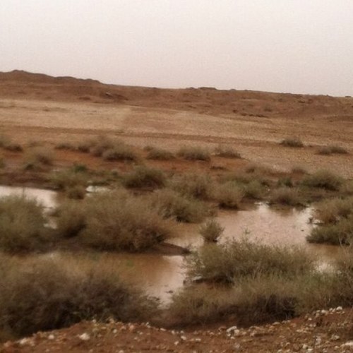 أبو إبراهيم
٠٥٠٥١٢١٩٦٨