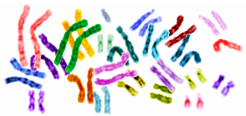 GenomeReport's profile picture. A new journal featuring news and views on recent findings in human genomics with particular relevance to the diagnosis and therapy of disease.