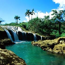 qwertyu83624836's profile picture. 