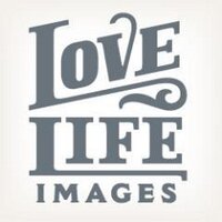 Jennifer Domenick (@lovelifeimages) 's Twitter Profile