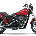 ester ferrara - @Ferrara1E - Twitter