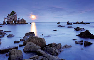 FerOntheMoon's profile picture. 