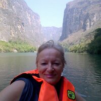 Elisabeth Guggenbühl (@yucapibil) 's Twitter Profile Photo