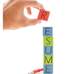 Expert assistance in resume writing tips  with examples to narrate your Domain expertise