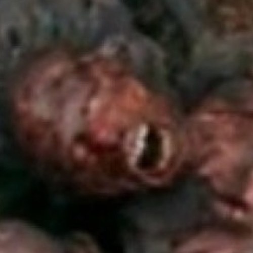 Just a poor zombie, who fell victim to a pyromaniac. #TheWalkingDead #TWD #Follow @TheRickGrimes_ he friendly to zombie.