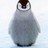 Pengさんのプロフィール画像