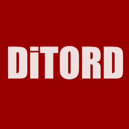 ditord Profile Picture