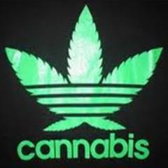 Money, women, weed and liquor