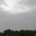 طقس حوطة بني تميم (@mansour202116) Twitter profile photo طقس حوطة بني تميم (@mansour202116) Twitter profile photo