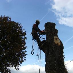 Tree Specific Tree Surgeons Bedfordshire