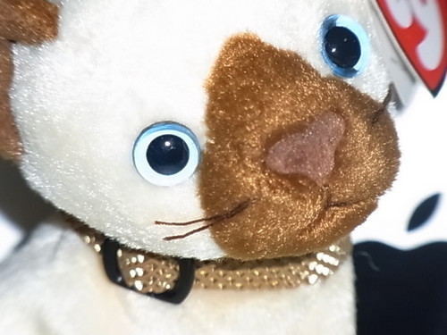 気の向くままに日常とニュースについて一人静かに呟いています。雑多なRP／RT多め。連投注意。ミュート推奨。ヘッダー画像は福島県猪苗代町の土津神社様（ @hanitsu_jinja ）が作成した「赤べこの護符」です。 → https://t.co/2qLjaJvCSH