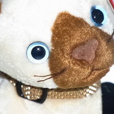 M Fujimoto 7 25に閉店する 紀伊國屋書店 新宿本店 B1 珈穂音 カポネ のロールキャベツ定食です T Co Hofn9xvrds M Fujimoto 7 25に閉店する 紀伊國屋書店 新宿本店 B1 珈穂音 カポネ のロールキャベツ定食です T Co Hofn9xvrds