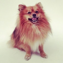 braundstudios's profile picture. Audio & Video Production Facility in Brooklyn