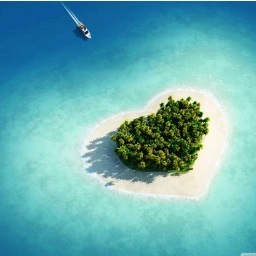 DynamicV1sion's profile picture. 