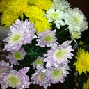 sarah catton - @catton_sarah - Twitter