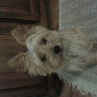 axel (@axelgomez83) 's Twitter Profile