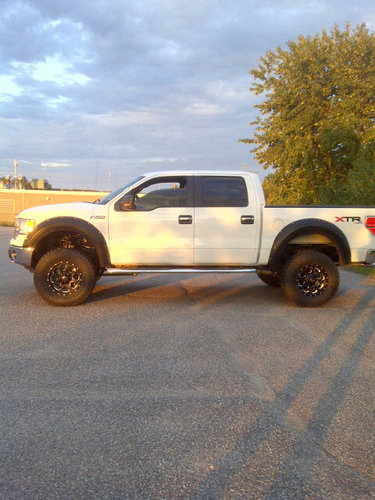 ddaannF's profile picture. 