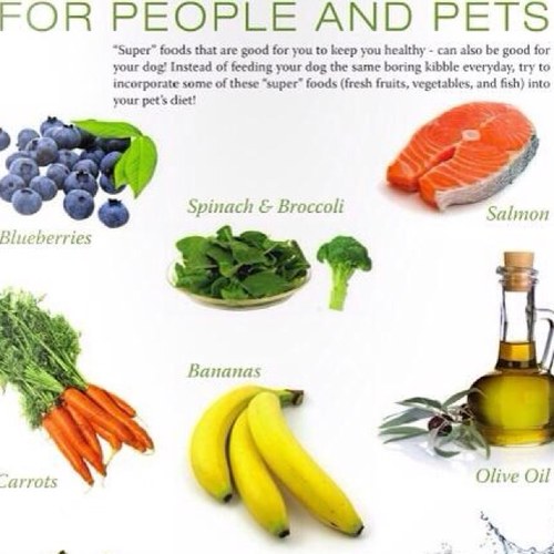 kalfadel666's profile picture. 