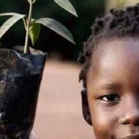 #LaudatoSi #LaudateDeum #Jubilee2025 (@cynesa) Twitter profile photo