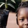 CYNESA's profile picture. Catholic Youth Network for Environmental Sustainability in Africa. (The network of young Catholics in Africa, caring for our common home).