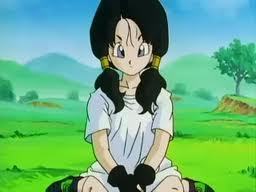 Hey there Videl Satan here I am the daughter of the martial arts champion Hercule satan, I am currently helping 'The great Saiyaman'.