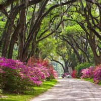 华星 (@kaylee99758) 's Twitter Profile