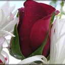 الجوري - @Dona70sweet - Twitter