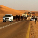 طلال (@0504377774) Twitter