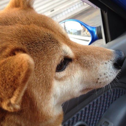 細胞は元気