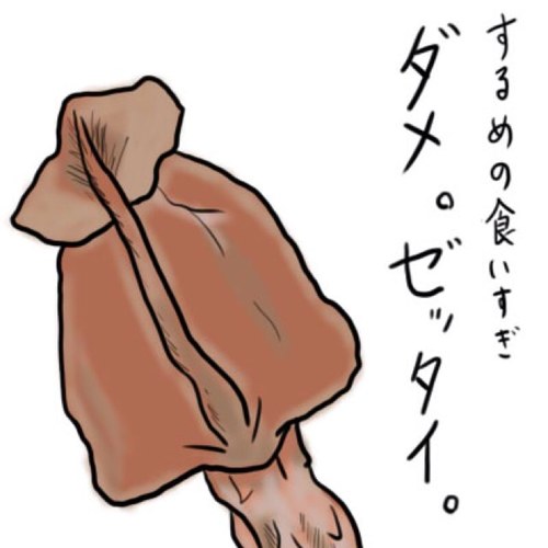 ゲームがやめられないオタク/ゲーム全般やりますがRPGが特に好き/タイプムーン作品が主食...だけどアニメ、漫画、小説他いっぱい好き/カメラ、プラモデル初心者/基本ROM専