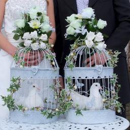 CornishDoves's profile picture. 