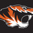 GoCHSTigers's profile image