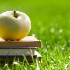 PregatireORG's profile picture. Pregatire pentru o cariera de succes